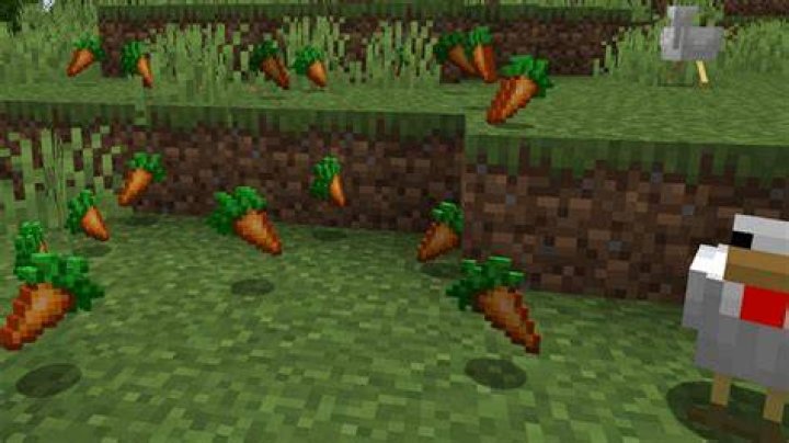 How do i get carrots in minecraft