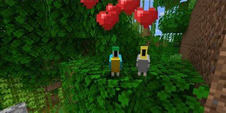 How do you breed birds in minecraft