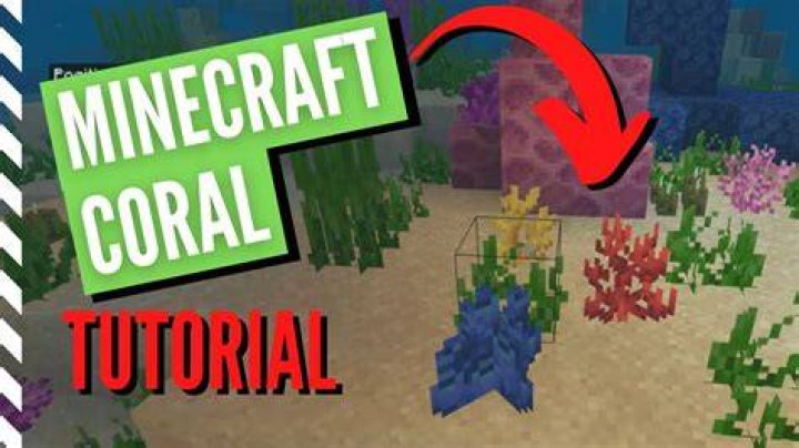 How do you get coral in minecraft
