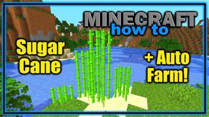 How do you get sugarcane in minecraft