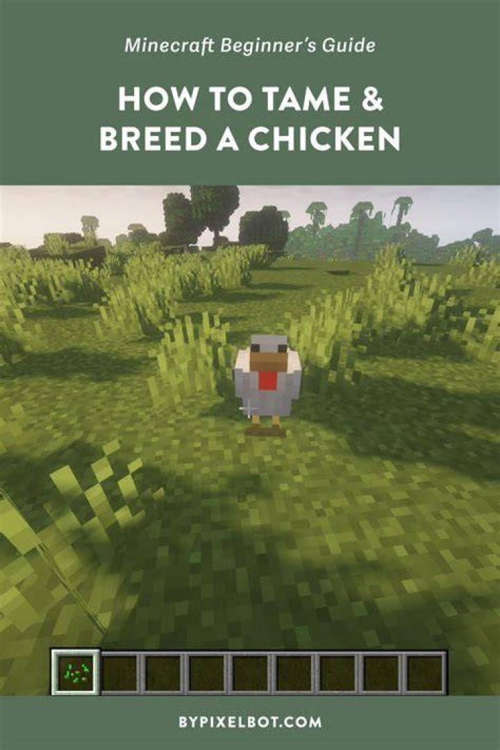 How to breed a chicken in minecraft