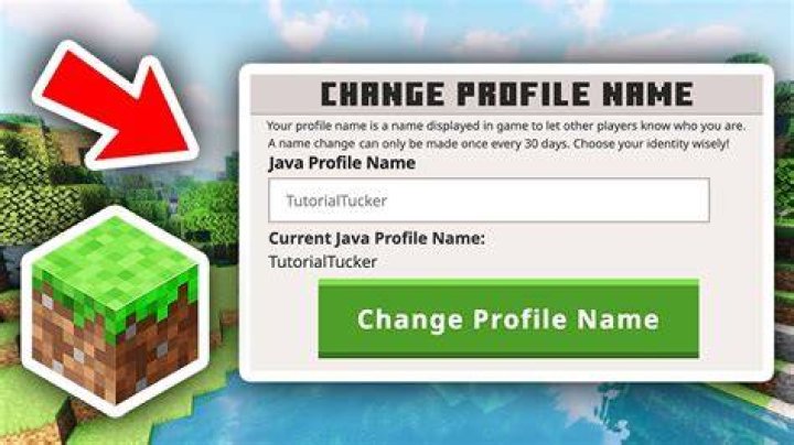 How to change username on minecraft java