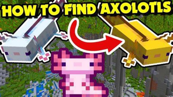 How to find axolotls in minecraft 1.18