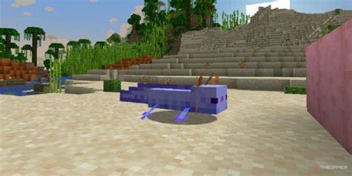 How to get blue axolotl in minecraft