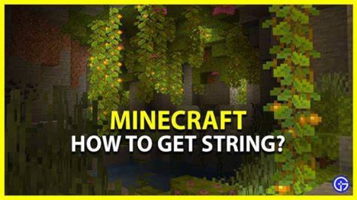 How to get string in minecraft peaceful