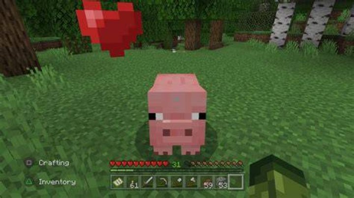 How to make pigs mate in minecraft