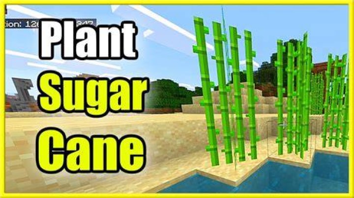How to plant sugar cane in minecraft
