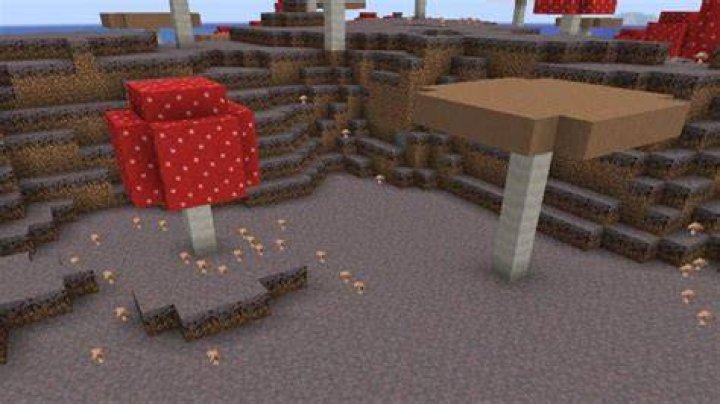 How to put down mushrooms in minecraft