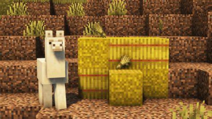 What food do llamas eat in minecraft