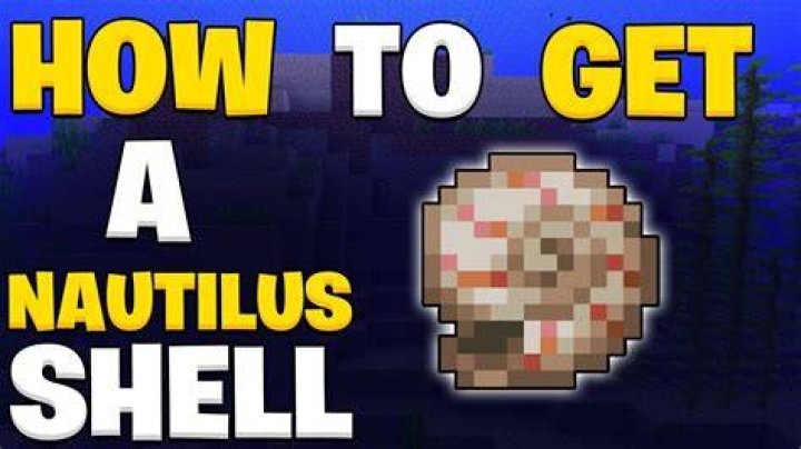 What to do with nautilus shell minecraft