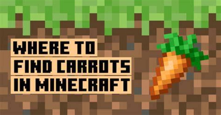 Where can i find carrots in minecraft