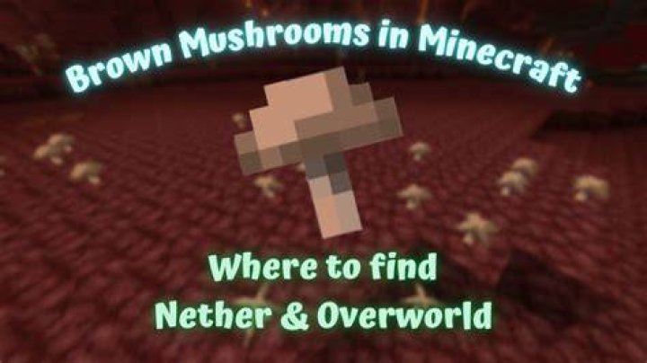 Where to get brown mushrooms in minecraft