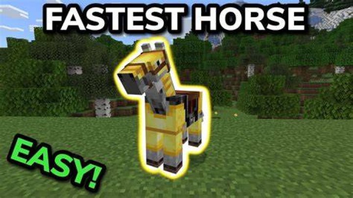 Which horse is the fastest in minecraft